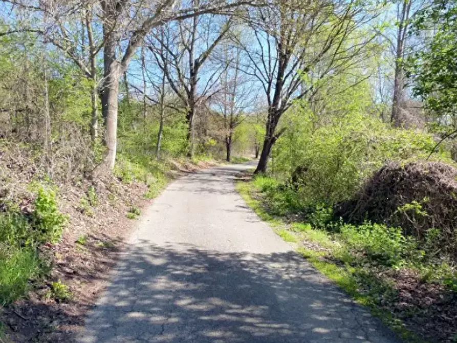 Immagine 12 di Rustico / casale in vendita  in Località Valle Benedetta a Asti