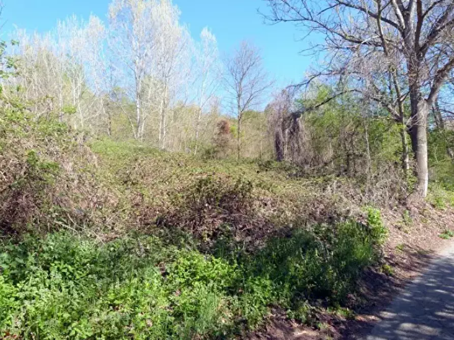 Immagine 13 di Rustico / casale in vendita  in Località Valle Benedetta a Asti
