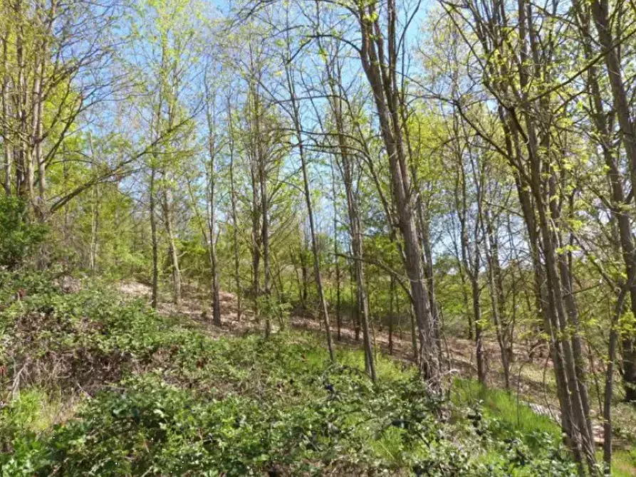 Immagine 27 di Rustico / casale in vendita  in Località Valle Benedetta a Asti