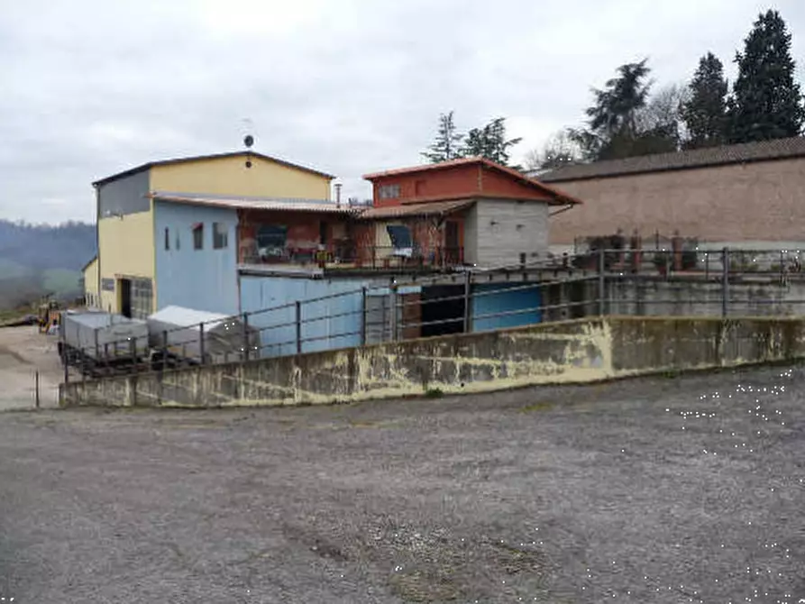 Immagine 3 di Capannone industriale in vendita  in Regione Vignasone a Montechiaro D'asti