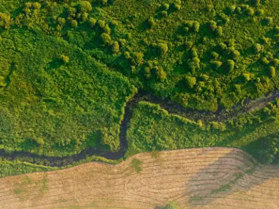 Immagine 16 di Casa indipendente in vendita  in Frazione Valvinera a Castagnole Monferrato