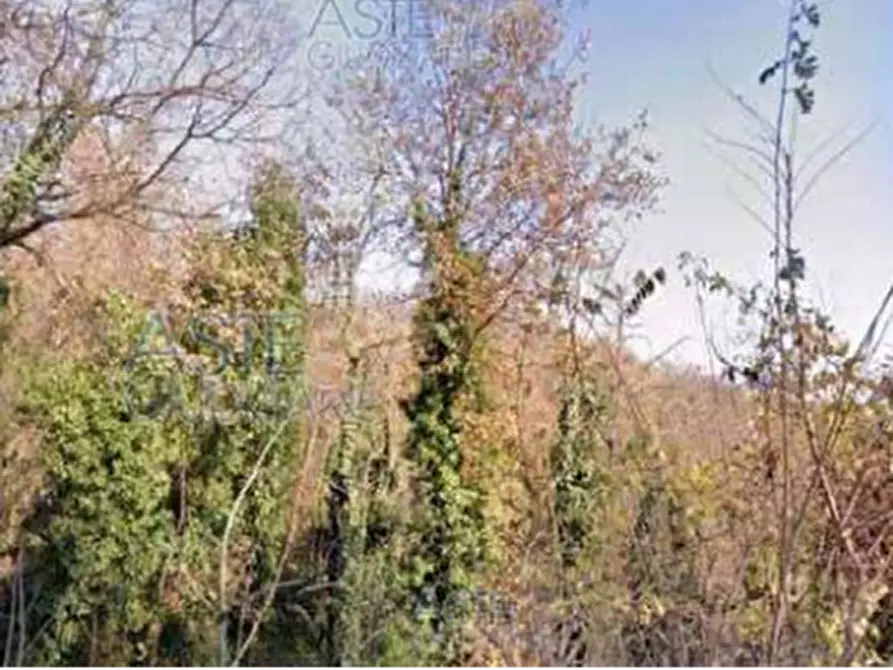 Immagine 17 di Casa indipendente in vendita  in Frazione Valvinera a Castagnole Monferrato