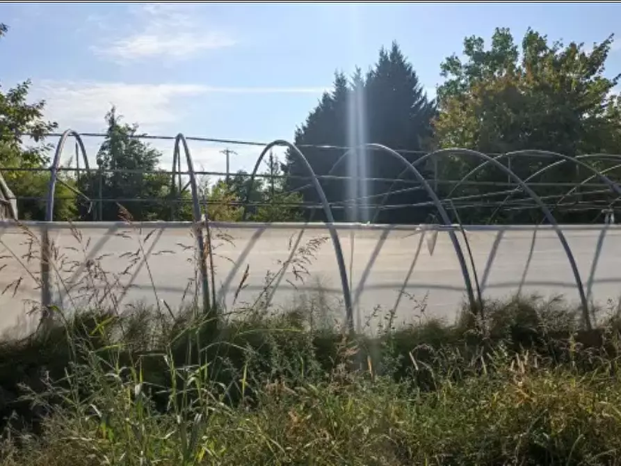 Immagine 8 di Magazzino in vendita  in Stazione di Portacomaro a Asti