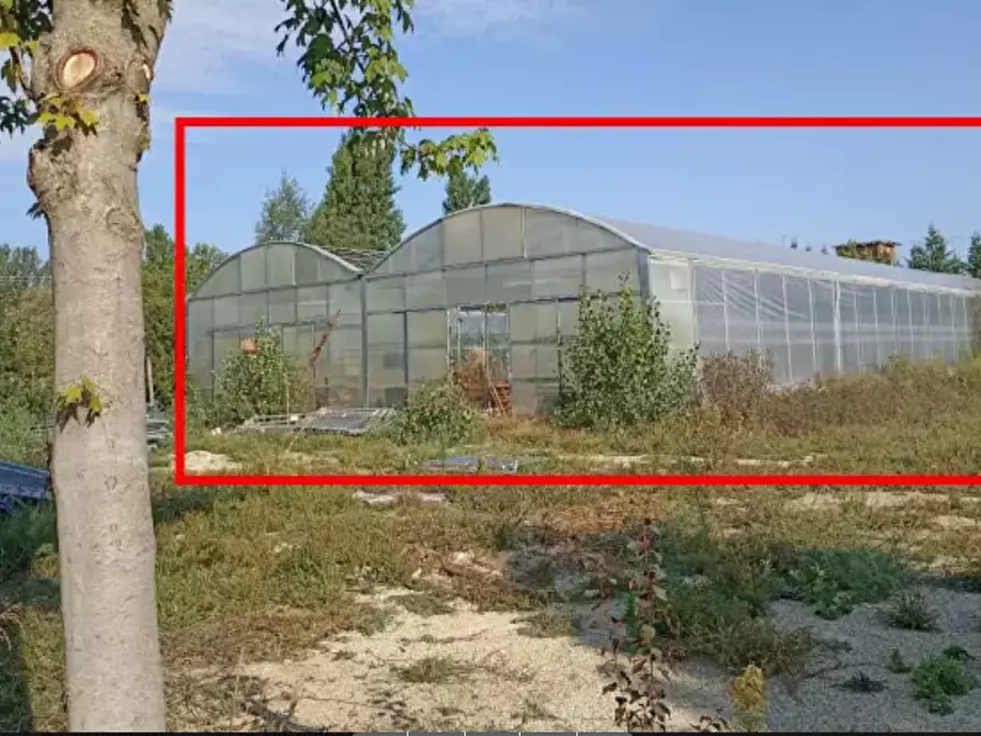 Immagine 10 di Magazzino in vendita  in Stazione di Portacomaro a Asti