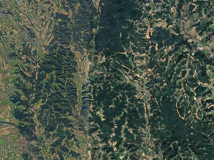 Immagine 14 di Casa indipendente in vendita  in Via Umberto Primo a Montafia