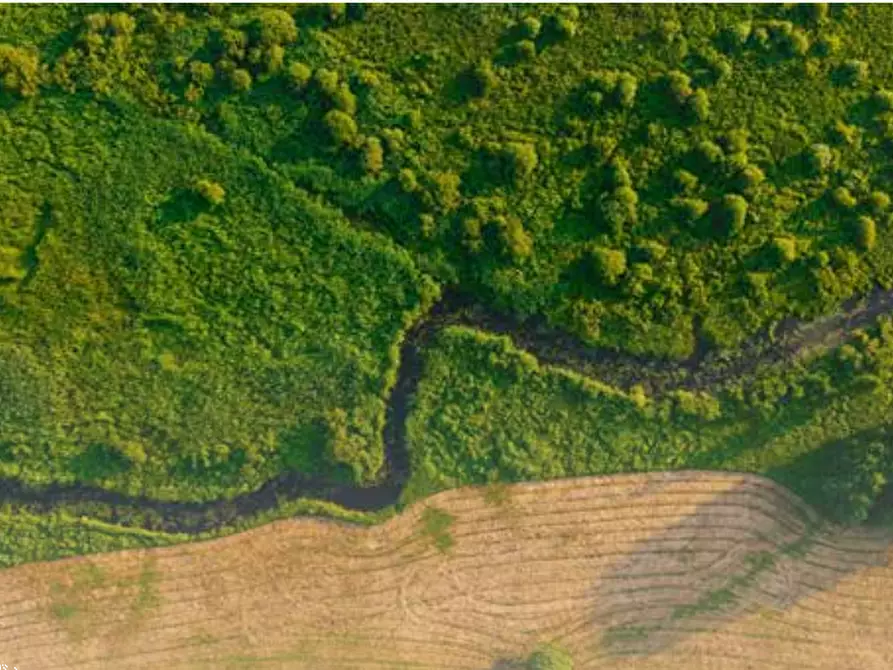 Immagine 1 di Terreno agricolo in vendita  in Frazione Valvinera a Castagnole Monferrato