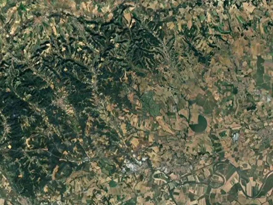 Immagine 7 di Terreno agricolo in vendita  in Frazione Valvinera a Castagnole Monferrato