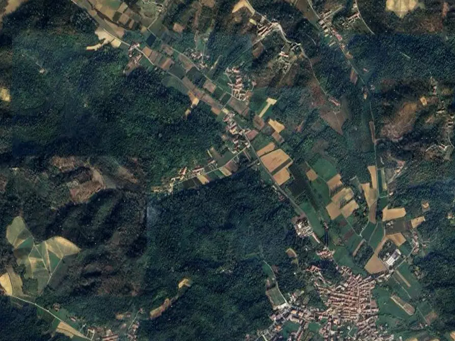 Immagine 10 di Terreno agricolo in vendita  in Frazione Valvinera a Castagnole Monferrato