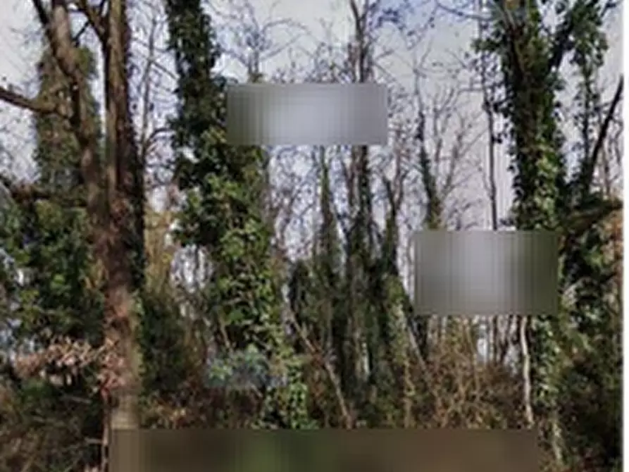 Immagine 1 di Terreno agricolo in vendita  in Frazione Valvinera a Castagnole Monferrato