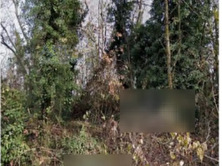 Immagine 2 di Terreno agricolo in vendita  in Frazione Valvinera a Castagnole Monferrato