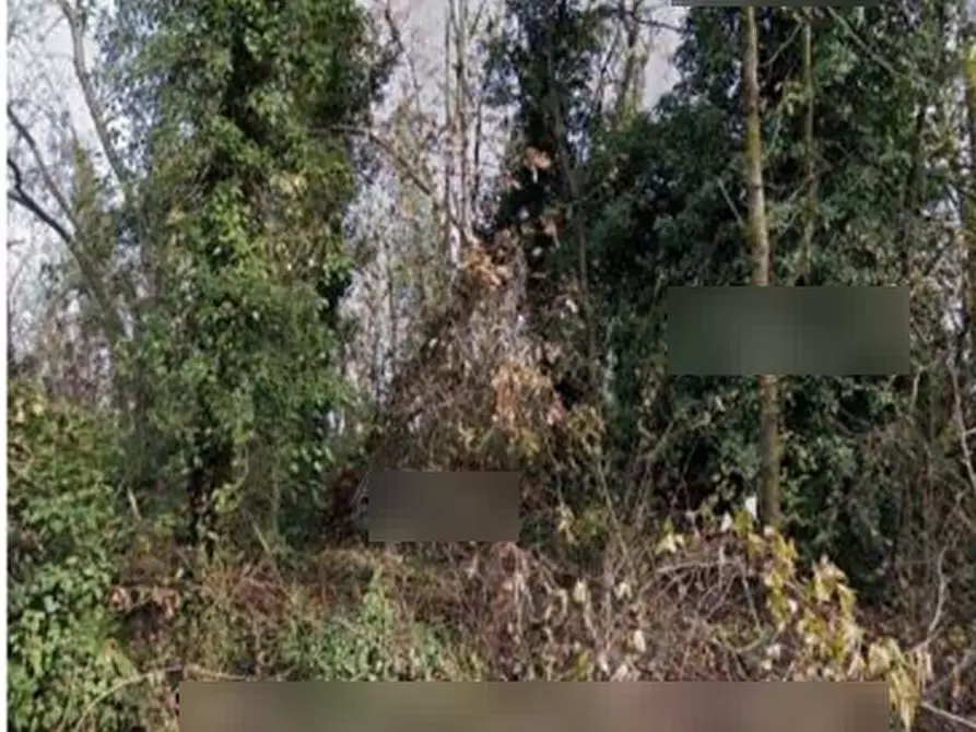 Immagine 3 di Terreno agricolo in vendita  in Frazione Valvinera a Castagnole Monferrato