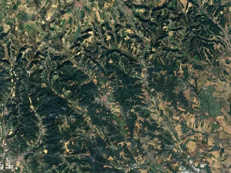 Immagine 7 di Terreno agricolo in vendita  in Frazione Valvinera a Castagnole Monferrato