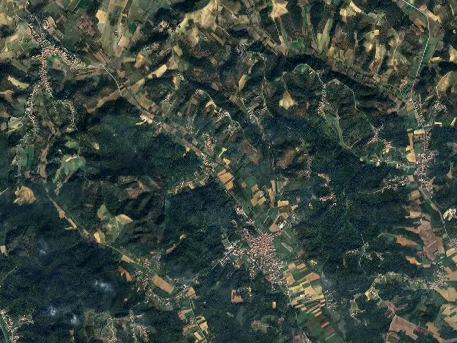 Immagine 8 di Terreno agricolo in vendita  in Frazione Valvinera a Castagnole Monferrato