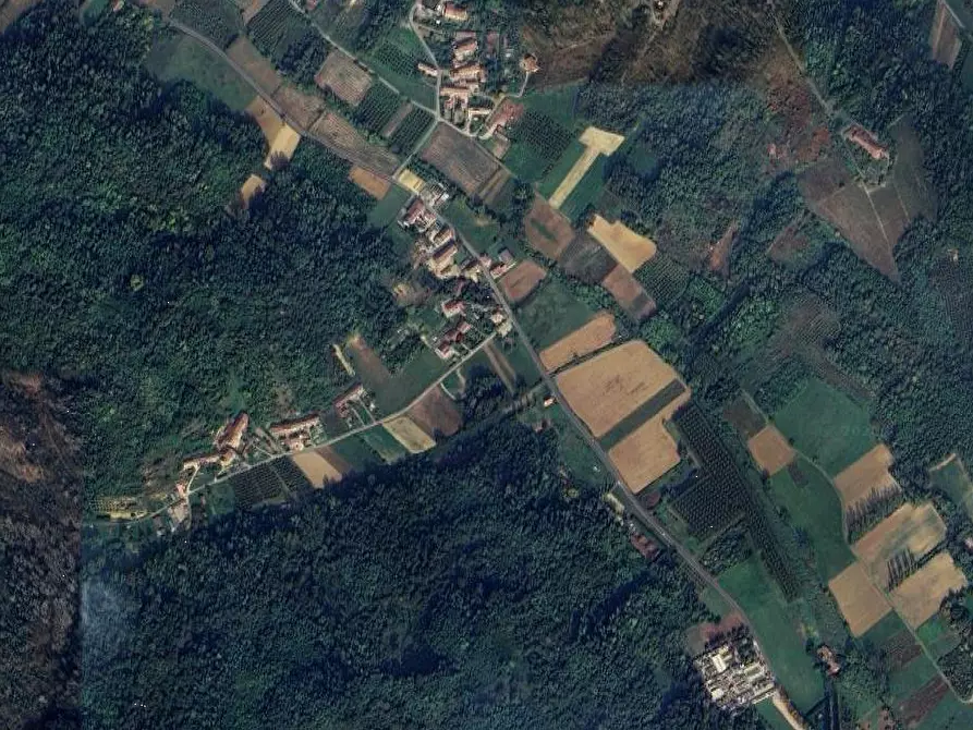 Immagine 10 di Terreno agricolo in vendita  in Frazione Valvinera a Castagnole Monferrato