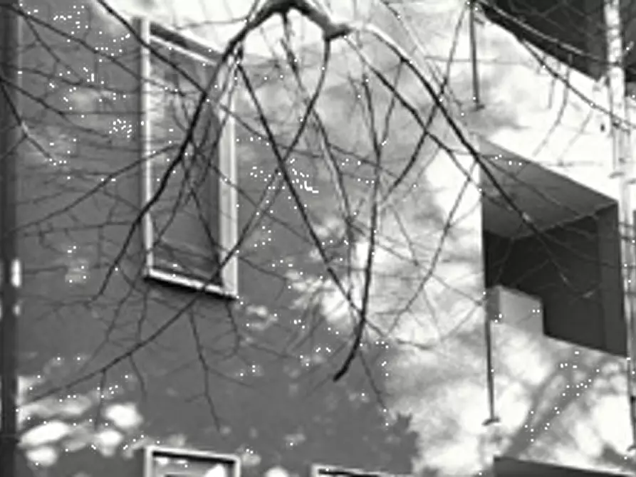 Immagine 5 di Ufficio in vendita  in Via Ragusa a Mogliano Veneto