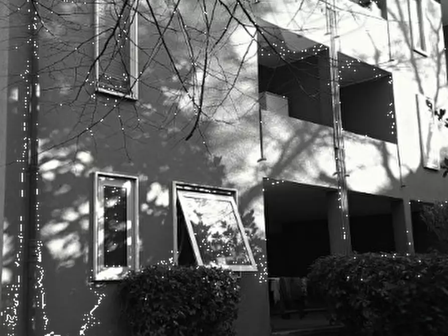 Immagine 6 di Ufficio in vendita  in Via Ragusa a Mogliano Veneto