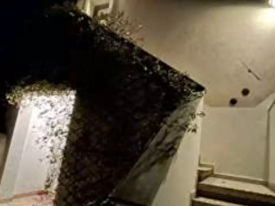 Immagine 5 di Stabile in vendita  in Via Giuseppe Garibaldi  a Oderzo