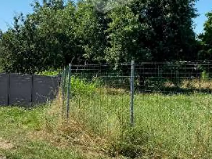 Immagine 2 di Terreno agricolo in vendita  in Via Muson a Santa Maria Di Sala