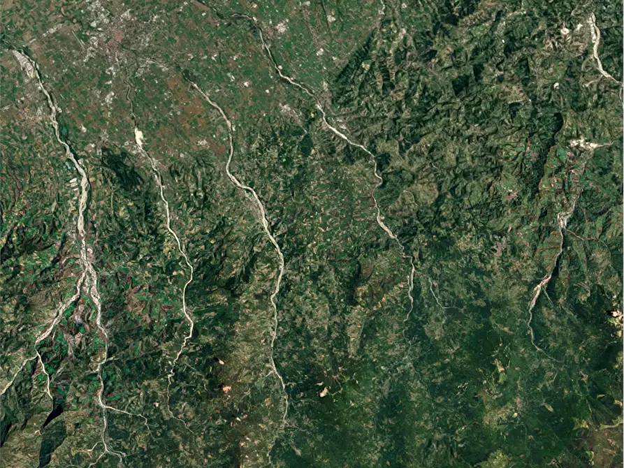 Immagine 34 di Stabile in vendita  in Vicolo Latta a Langhirano