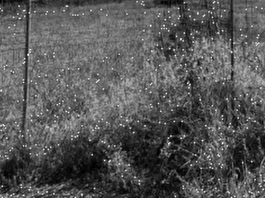 Immagine 10 di Terreno edificabile in vendita  in Via del Volontariato a Tresignana