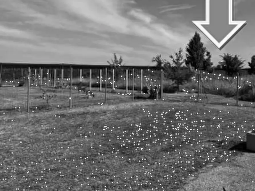 Immagine 11 di Terreno edificabile in vendita  in Via del Volontariato a Tresignana