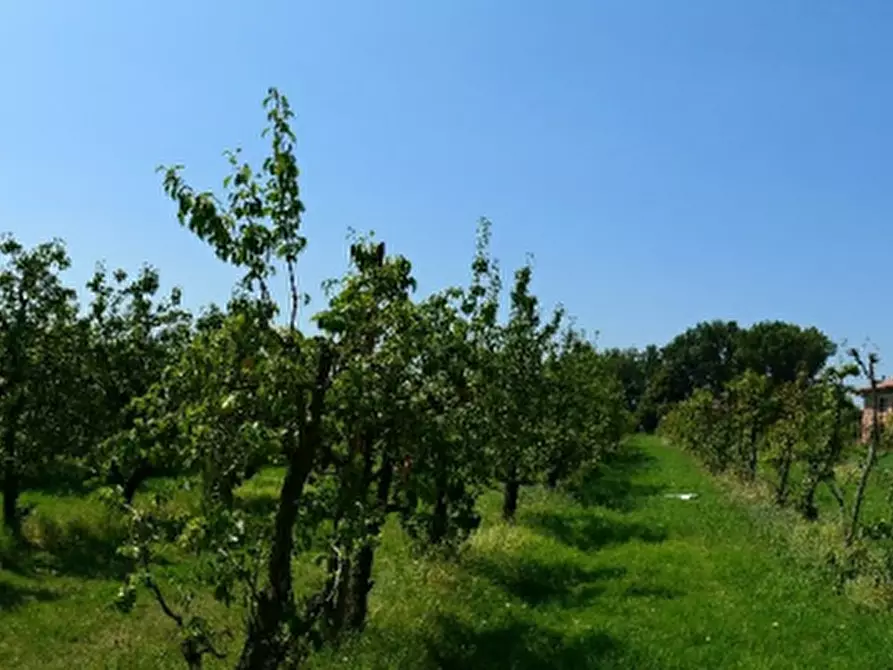 Immagine 8 di Azienda agricola in vendita  in Via Sarasina  a San Giovanni In Persiceto
