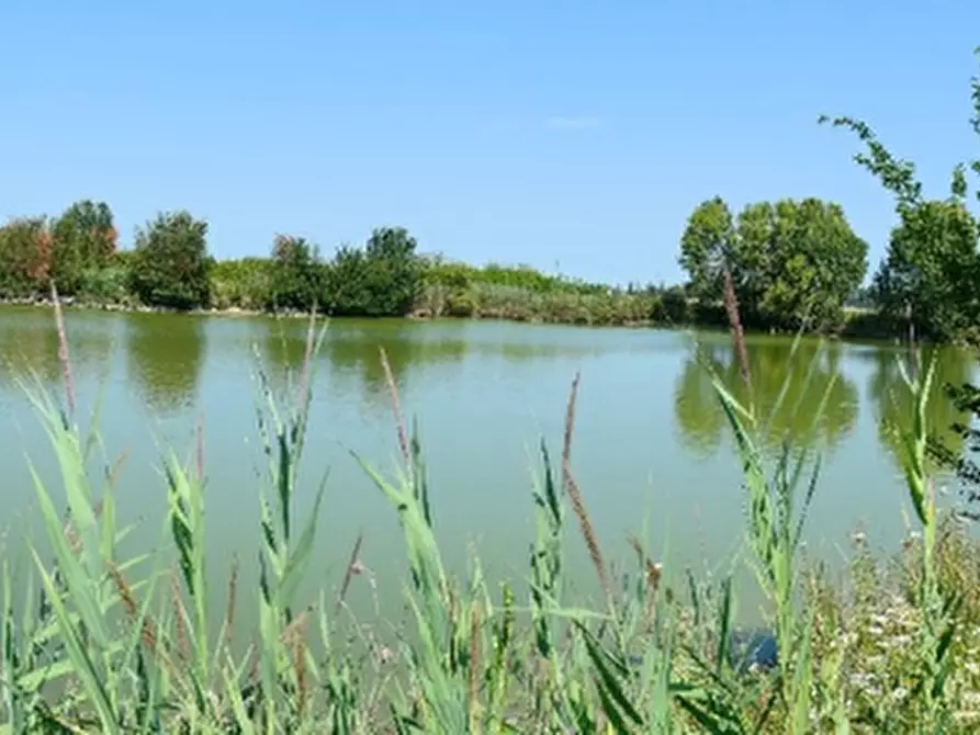 Immagine 11 di Azienda agricola in vendita  in Via Sarasina  a San Giovanni In Persiceto