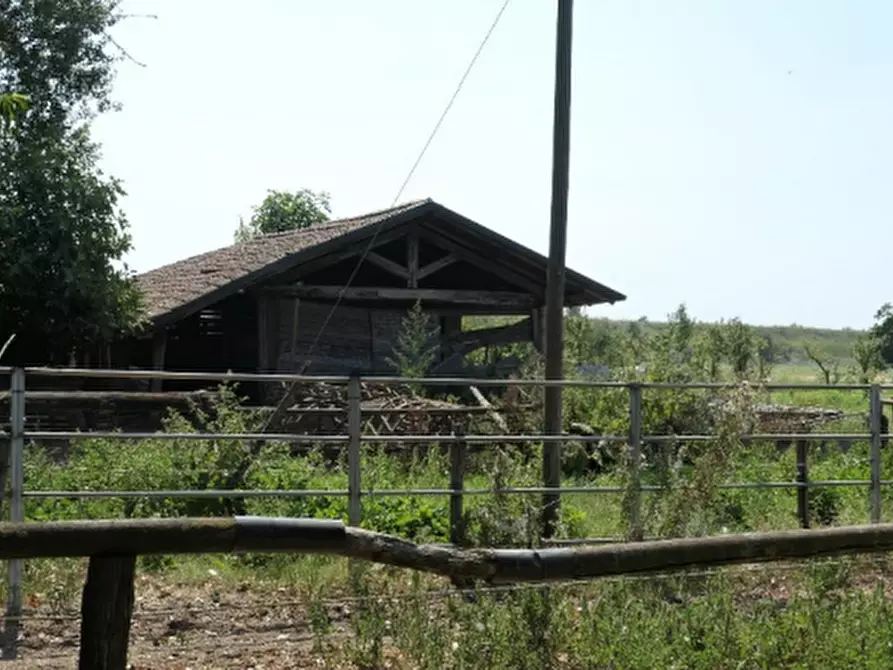 Immagine 12 di Azienda agricola in vendita  in Via Sarasina  a San Giovanni In Persiceto