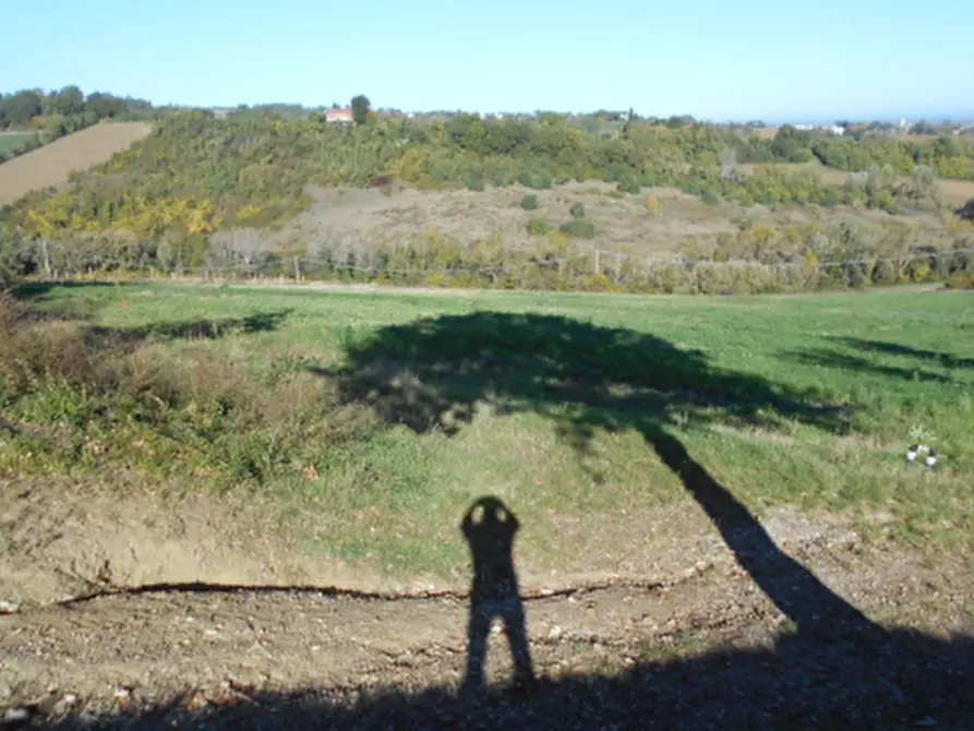 Immagine 2 di Capannone industriale in vendita  in Via Goccianello a Imola