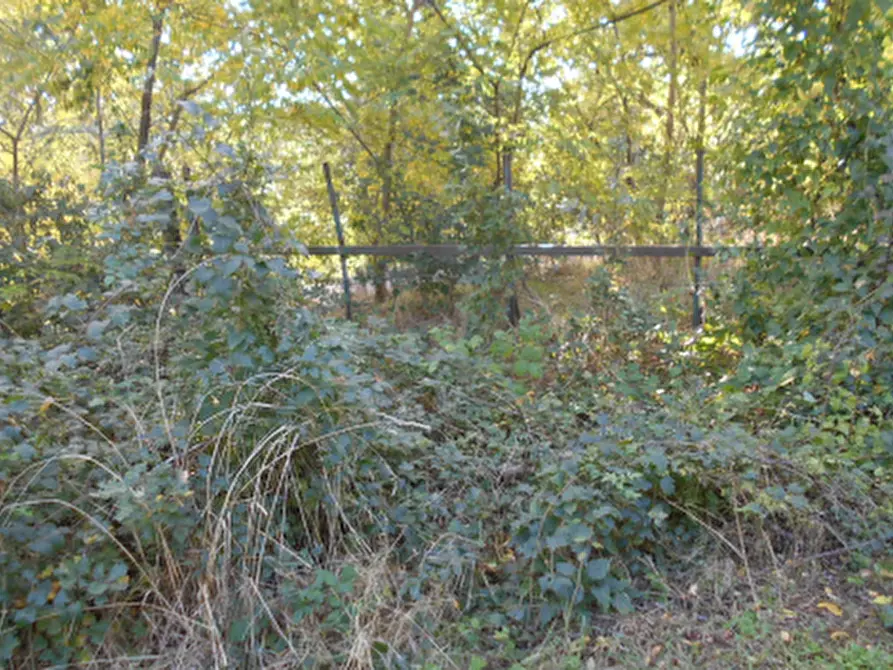 Immagine 4 di Capannone industriale in vendita  in Via Goccianello a Imola