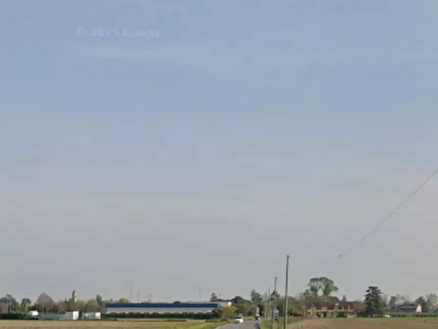 Immagine 11 di Terreno edificabile in vendita  in Via Provinciale a Riva Del Po