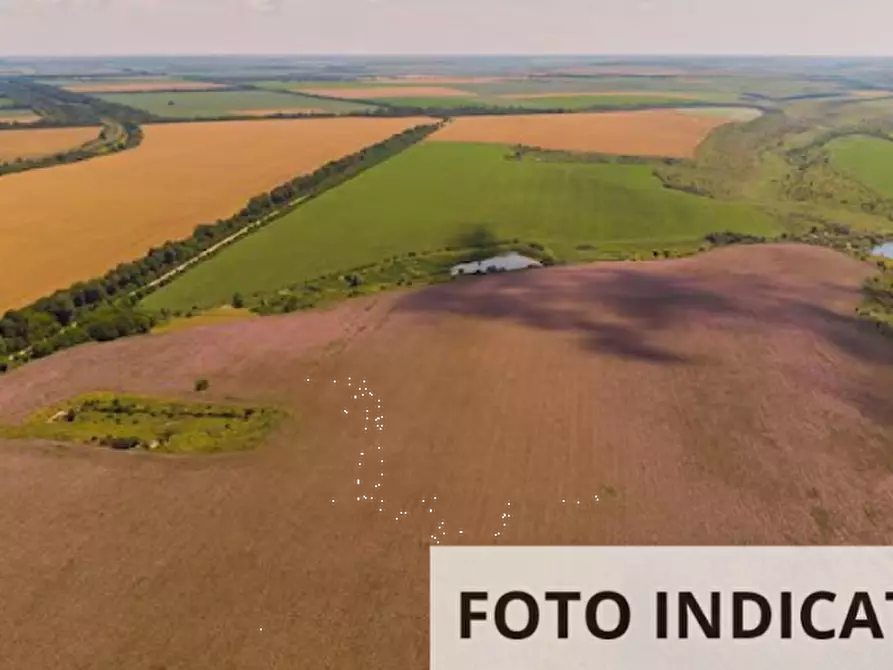 Immagine 2 di Terreno edificabile in vendita  in Via Chiesa Sud a Novi Di Modena