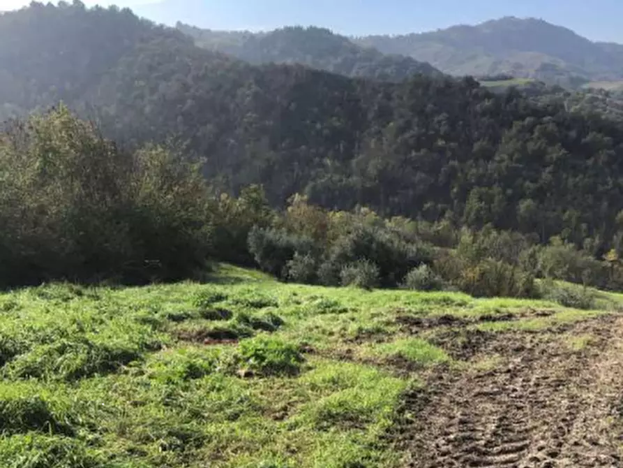 Immagine 6 di Terreno agricolo in vendita  in Via Vallino a Sogliano Al Rubicone