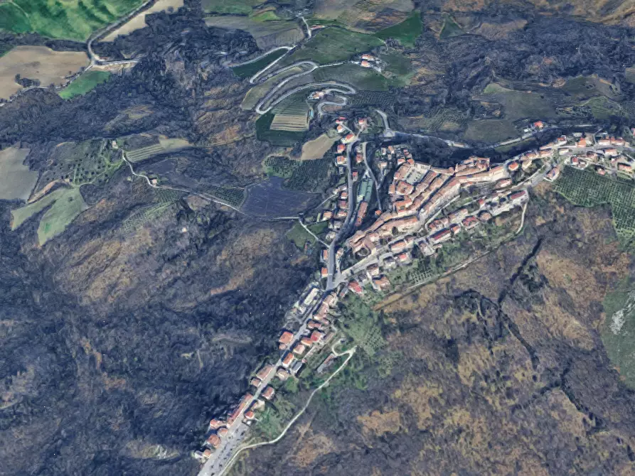 Immagine 7 di Terreno agricolo in vendita  in Via Vallino a Sogliano Al Rubicone