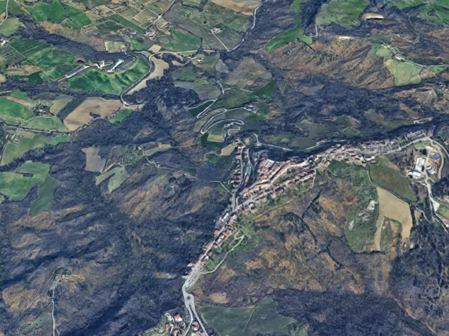 Immagine 8 di Terreno agricolo in vendita  in Via Vallino a Sogliano Al Rubicone