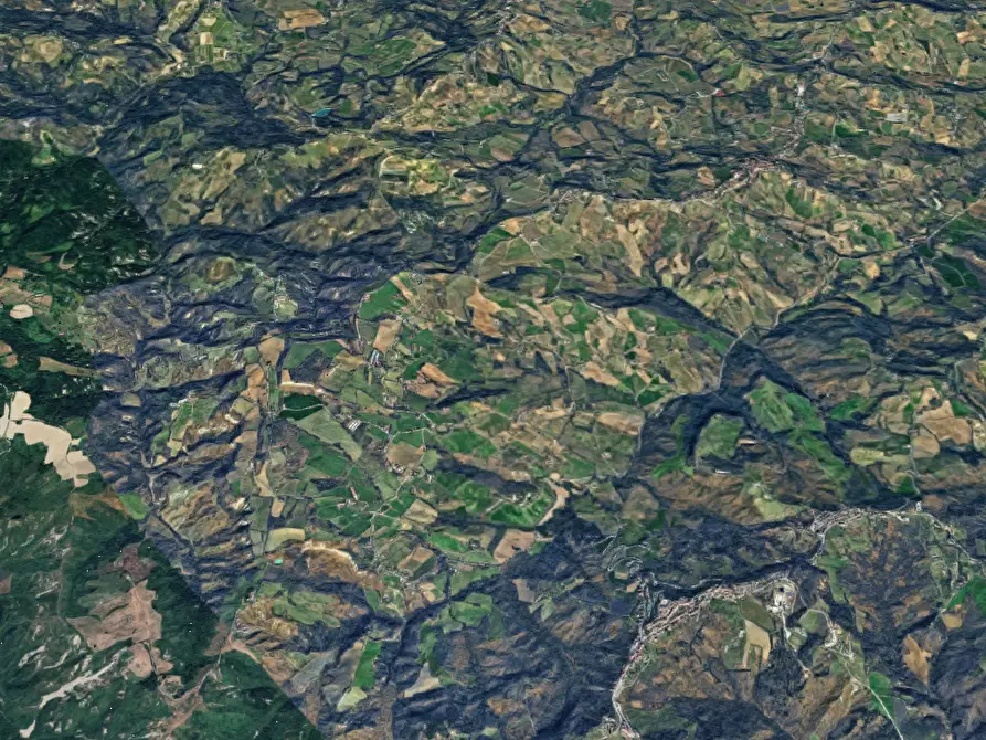 Immagine 12 di Terreno agricolo in vendita  in Via Vallino a Sogliano Al Rubicone