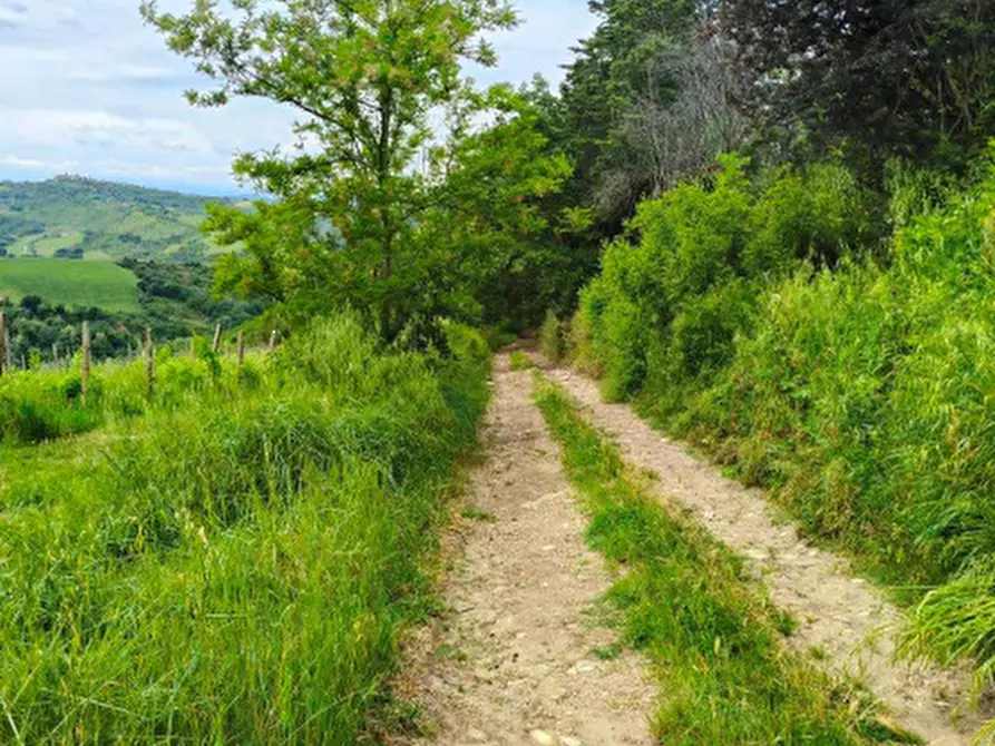 Immagine 1 di Terreno agricolo in vendita  in Via della Valle in Tessello a Cesena
