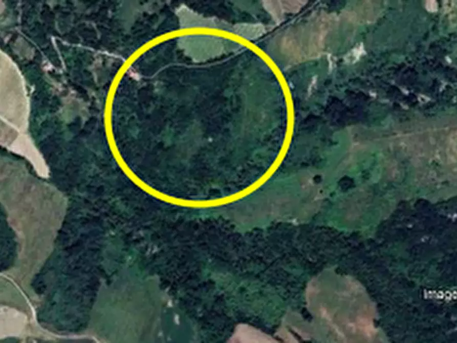 Immagine 5 di Terreno agricolo in vendita  in Via della Valle in Tessello a Cesena