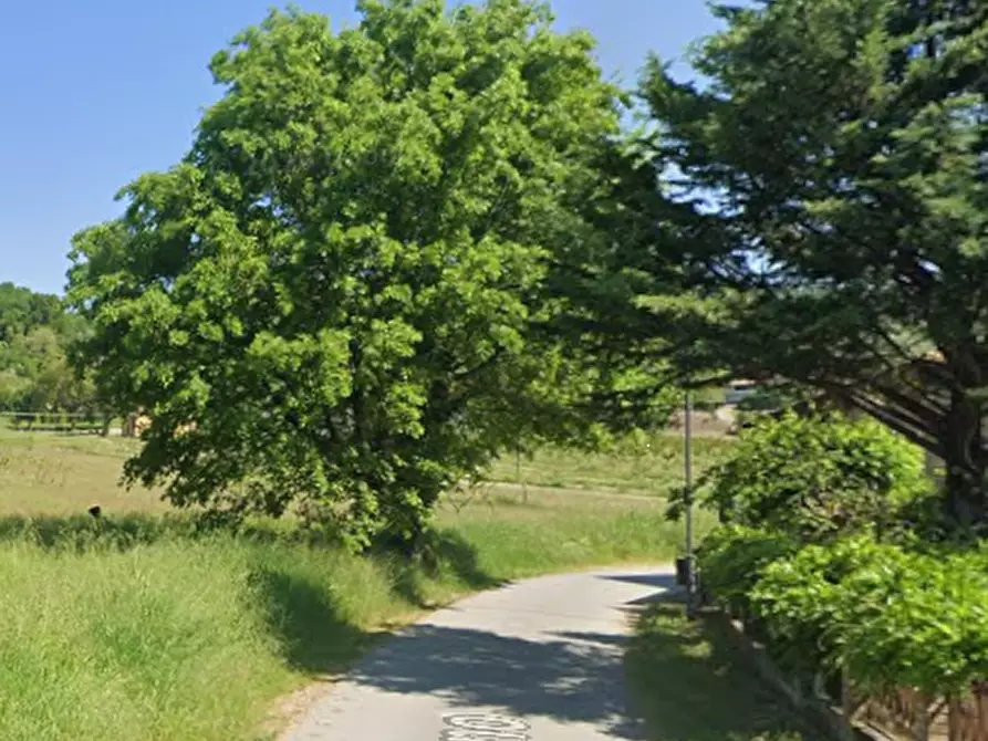 Immagine 7 di Terreno agricolo in vendita  in Localita' Viazzano a Varano De' Melegari