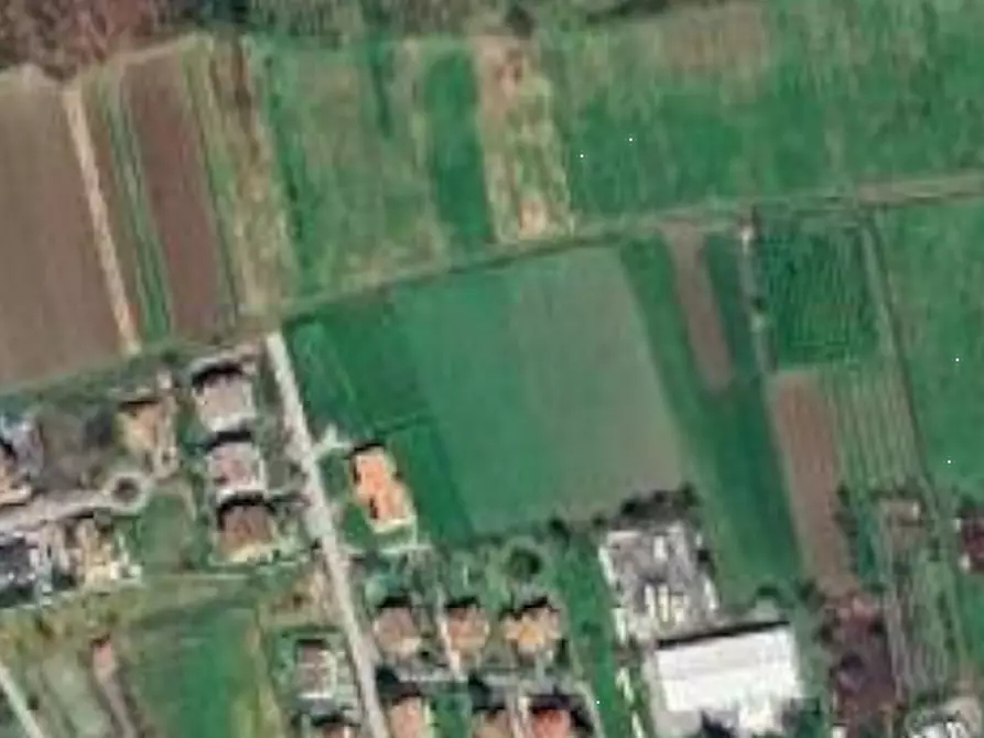 Immagine 9 di Terreno agricolo in vendita  in Localita' Viazzano a Varano De' Melegari