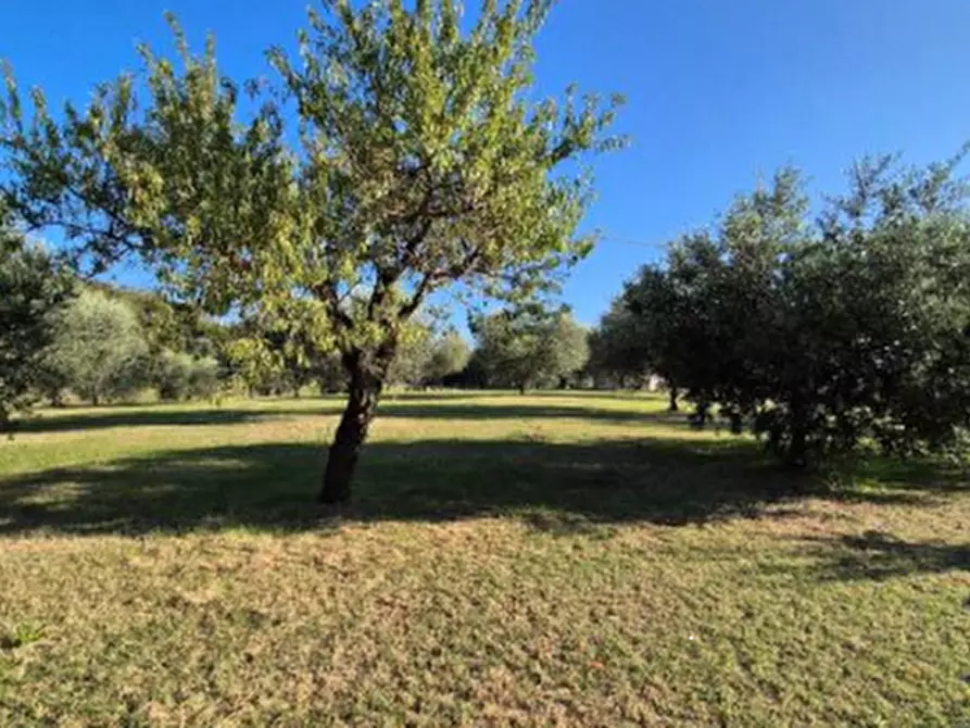 Immagine 2 di Casa indipendente in vendita  in Via Grotte  a Sarego