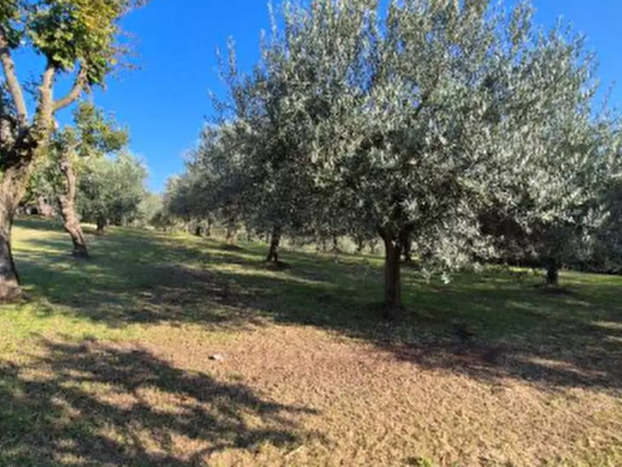 Immagine 3 di Casa indipendente in vendita  in Via Grotte  a Sarego