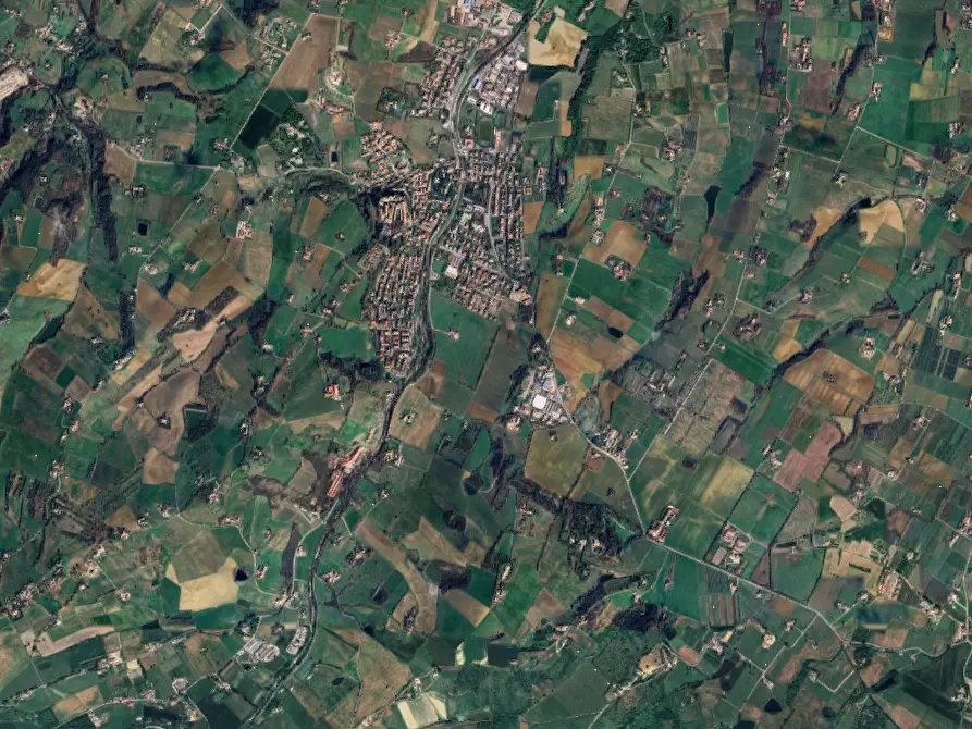 Immagine 6 di Villa in vendita  in via San Polo a Castelvetro Di Modena