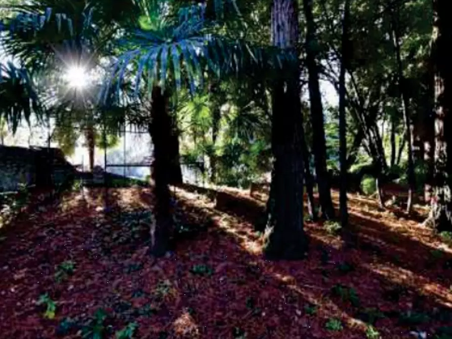 Immagine 16 di Stabile in vendita  in Viale Camillo Cavour a Vittorio Veneto