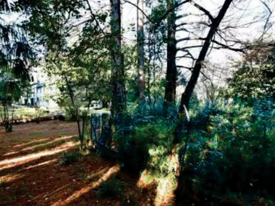 Immagine 17 di Stabile in vendita  in Viale Camillo Cavour a Vittorio Veneto