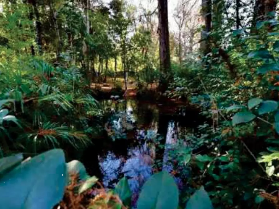 Immagine 19 di Stabile in vendita  in Viale Camillo Cavour a Vittorio Veneto