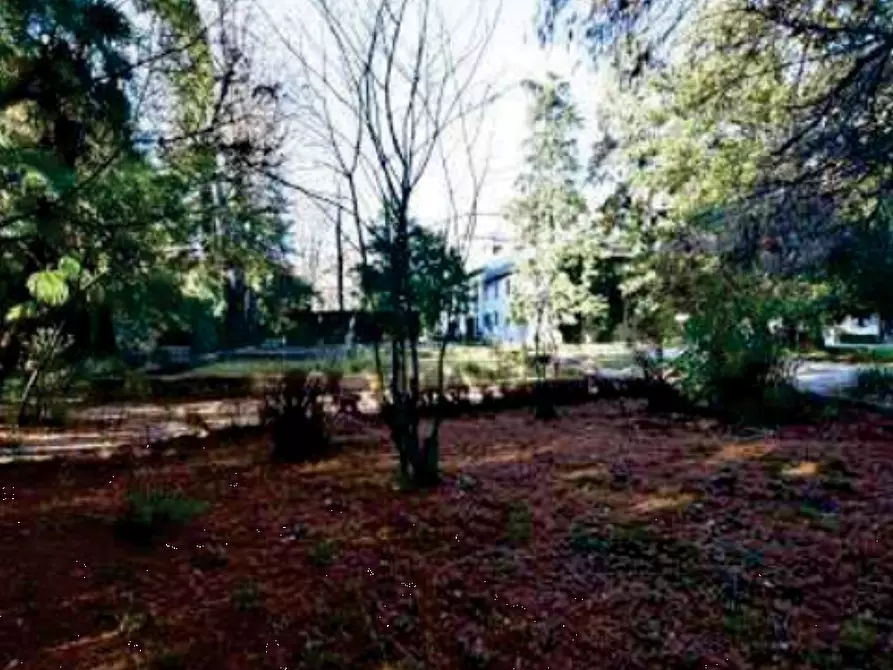 Immagine 20 di Stabile in vendita  in Viale Camillo Cavour a Vittorio Veneto