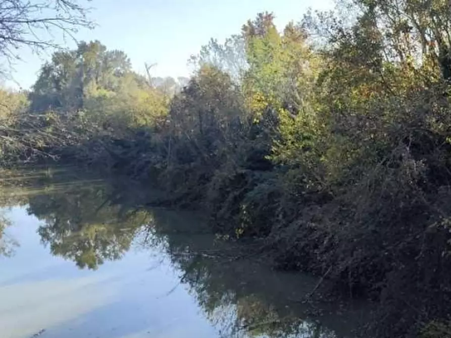 Immagine 10 di Stabile in vendita  in Via Frasbalda a Ferrara