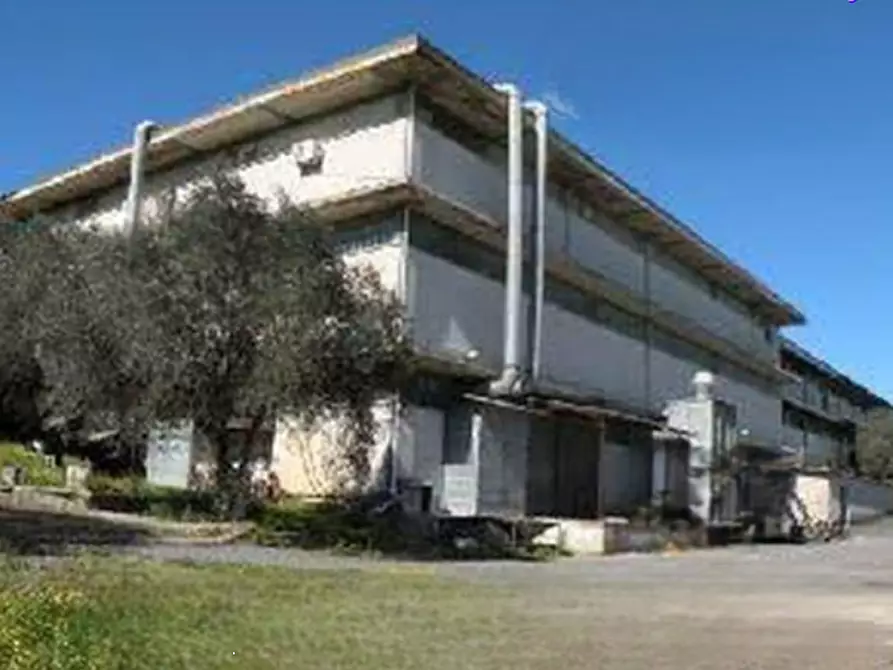 Immagine 2 di Terreno agricolo in vendita  in Via di Santa Fumia a Roma