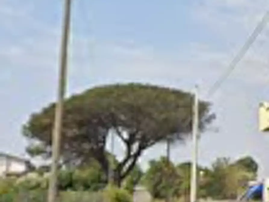 Immagine 3 di Appartamento in vendita  in Via Dei Mirabilis a Ardea